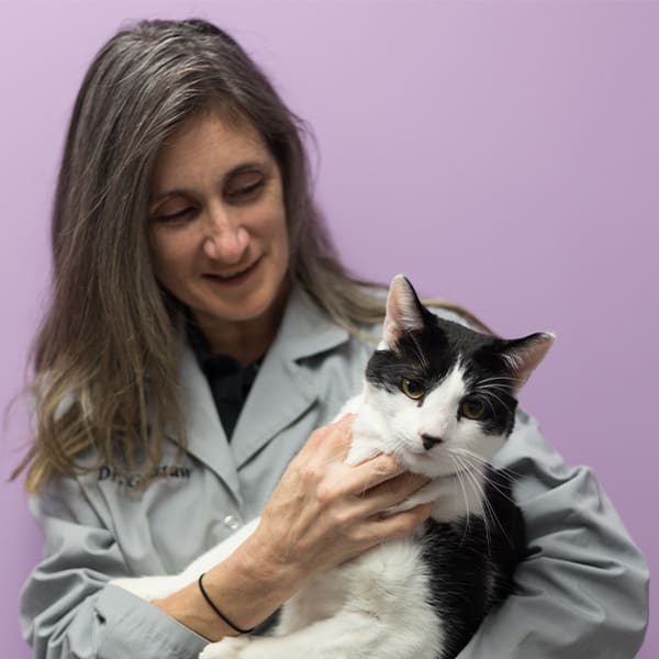 Meet Dr. Janine Gusztaw, Brodheadsville Veterinarian