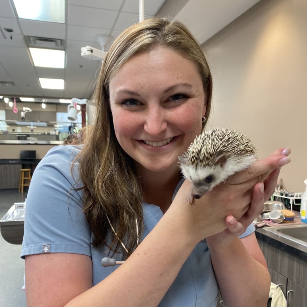 Dr. Madelyn Dolinsky, Brodheadsville Veterinarian